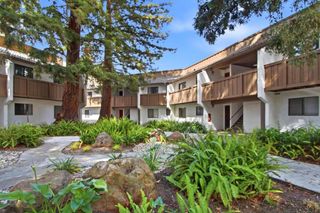 2201 Monroe Street 204, Santa Clara, CA 95050
