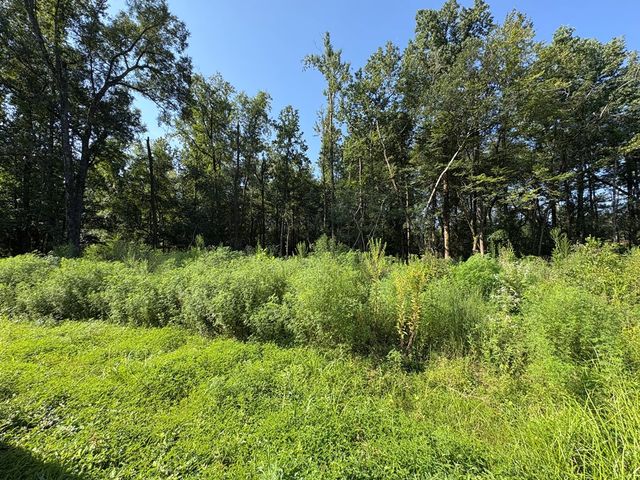 0 Lee Road 0300, Smiths Station, AL 36877