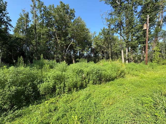 0 Lee Road 0300, Smiths Station, AL 36877