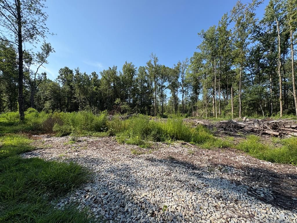 0 Lee Road 0300, Smiths Station, AL 36877
