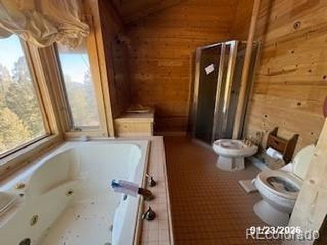 82 Gatewood Ln, Pine, CO 80470