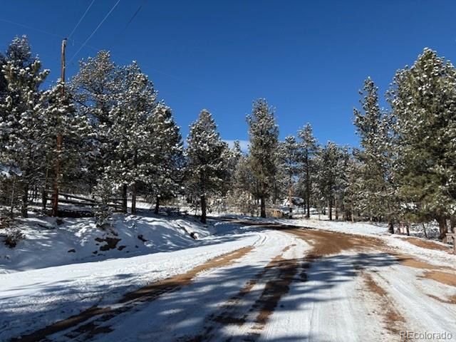 82 Gatewood Ln, Pine, CO 80470