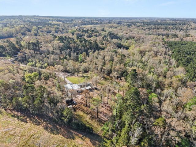 136 W basil Drive, Diana, TX 75640