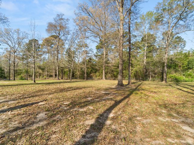 136 W basil Drive, Diana, TX 75640