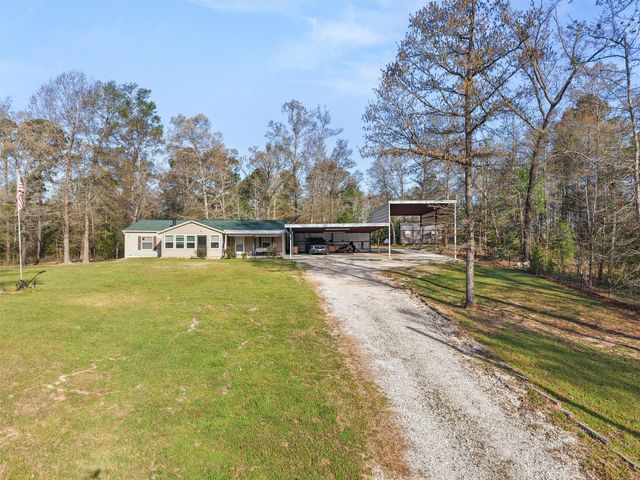 136 W basil Drive, Diana, TX 75640