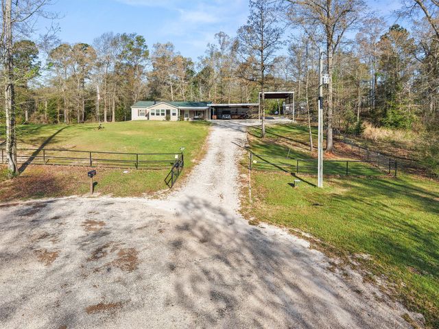 136 W basil Drive, Diana, TX 75640