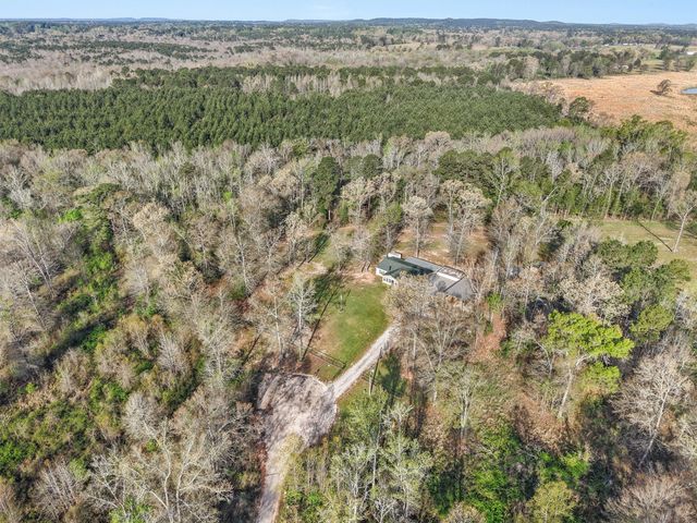 136 W basil Drive, Diana, TX 75640