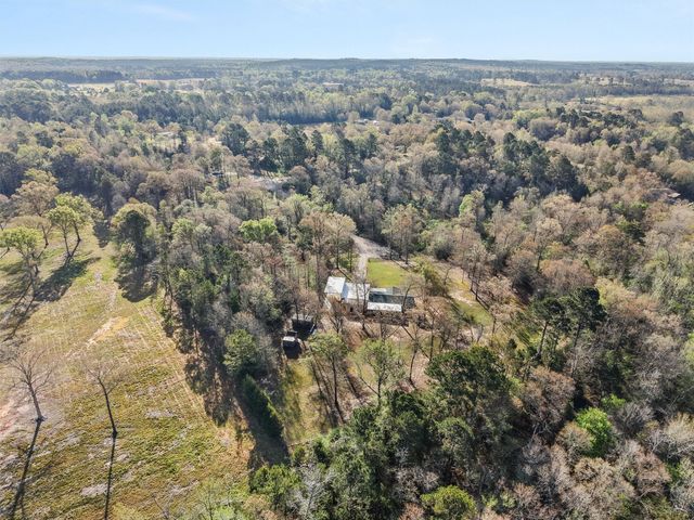 136 W basil Drive, Diana, TX 75640