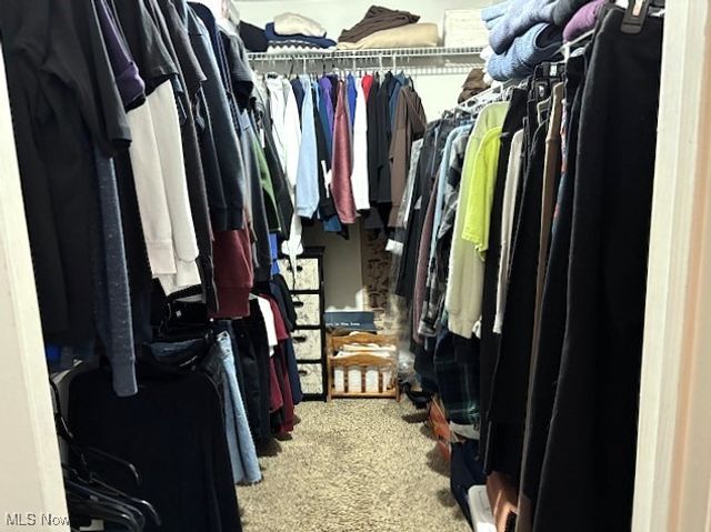 147 Talsman Drive, Canfield, OH 44406