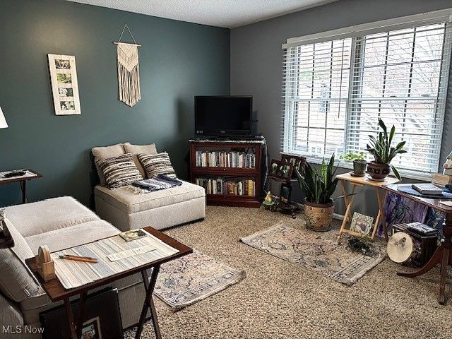 147 Talsman Drive, Canfield, OH 44406