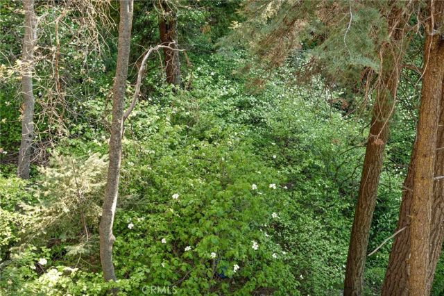 576 Kuffel Canyon, Lake Arrowhead, CA 92352