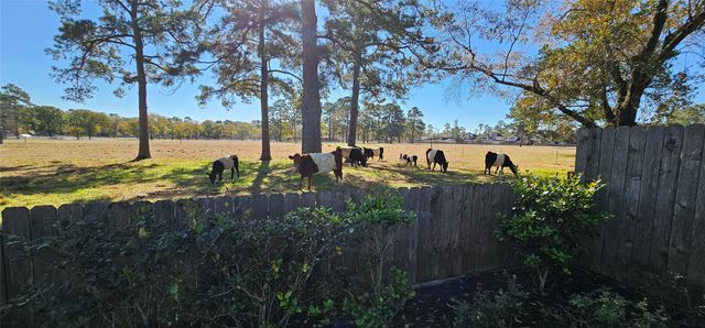 14207 Julington Lane, Cypress, TX 77429