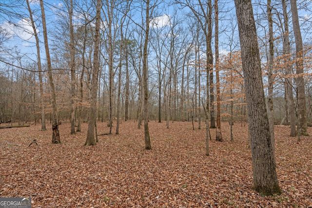 218 N Ole Hickory Trail, Carrollton, GA 30117