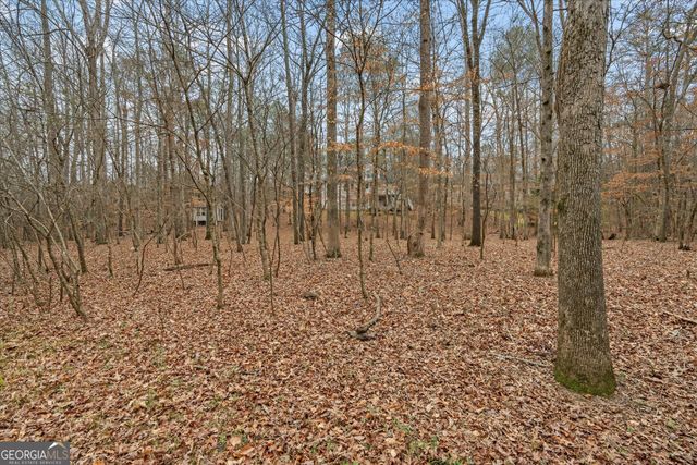 218 N Ole Hickory Trail, Carrollton, GA 30117