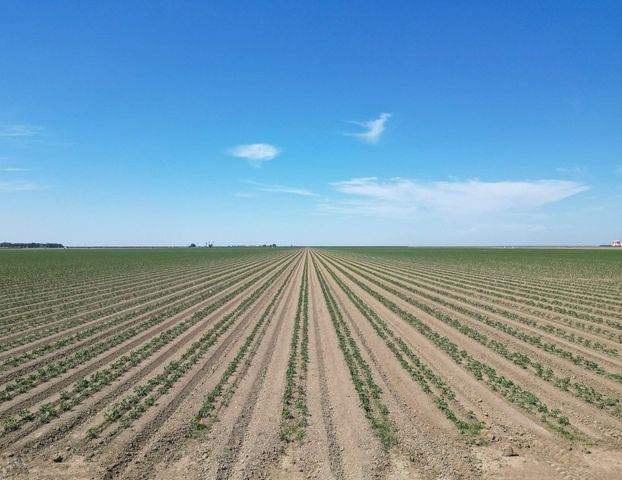 0 Lassen Avenue, Five Points, CA 93624