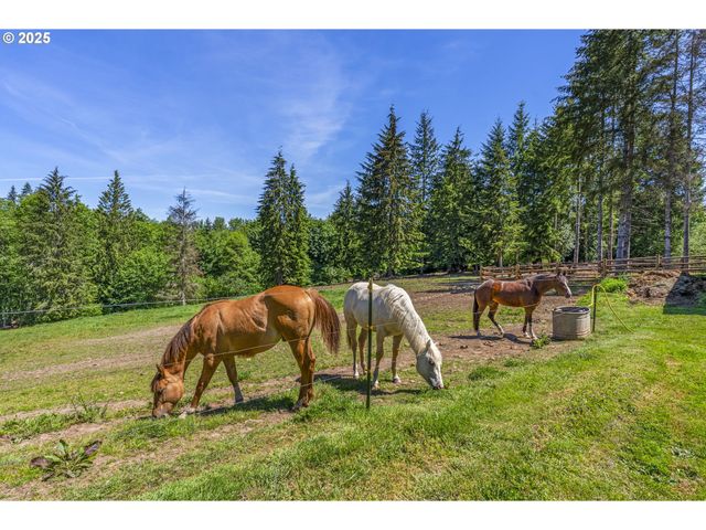 175 ELWOOD Rd, Castle Rock, WA 98611
