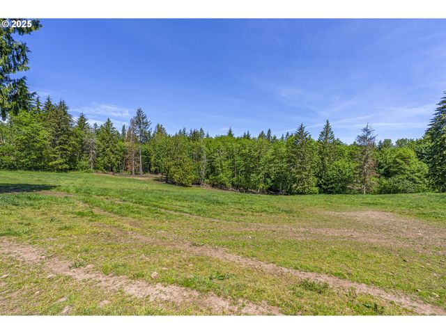 175 ELWOOD Rd, Castle Rock, WA 98611