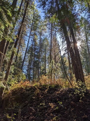 NKN Lot 2 Veit Rd, Newport, WA 99156