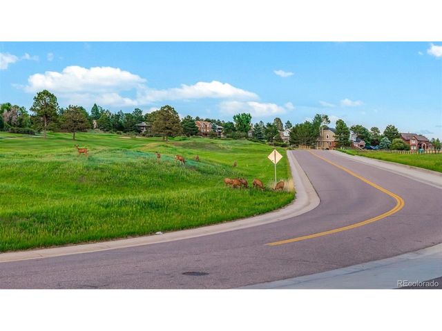 8286 Lightening View Dr, Parker, CO 80134