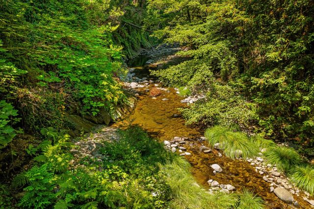 13680 Big Basin Way, Boulder Creek, CA 95006