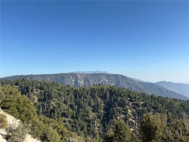 343 Holmes Lane, Sugarloaf, CA 92386