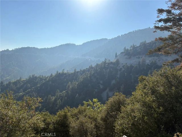 343 Holmes Lane, Sugarloaf, CA 92386