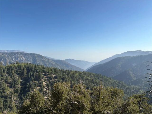 343 Holmes Lane, Sugarloaf, CA 92386