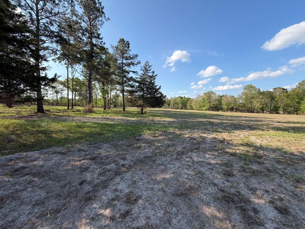 TBD N County Road 4050, Lovelady, TX 75851