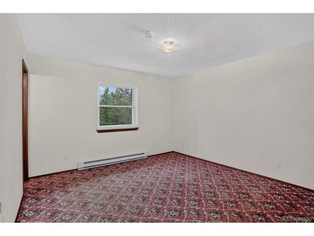 31788 Chalet Dr, Conifer, CO 80433