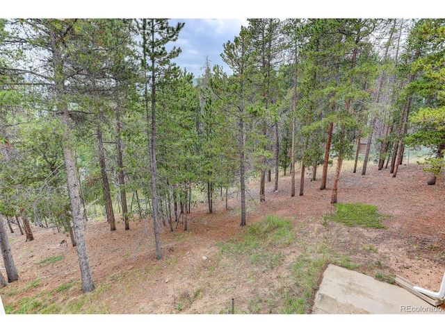 31788 Chalet Dr, Conifer, CO 80433