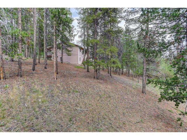 31788 Chalet Dr, Conifer, CO 80433