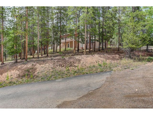 31788 Chalet Dr, Conifer, CO 80433