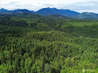 9999 Blue Mountain Road, Port Angeles, WA 98362