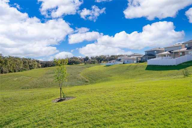 2060 KEYSTONE PASS BOULEVARD, Minneola, FL 34715