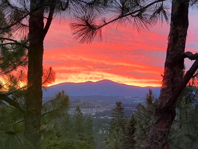 10532 EDNA Ln, Spokane, WA 99218