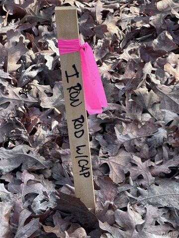 1116 E Springfield Road, Sullivan, MO 63080