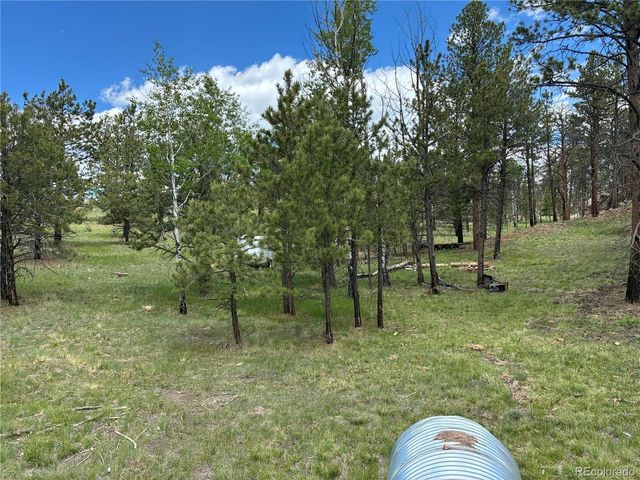 266 Chapparal Trl, Florissant, CO 80816