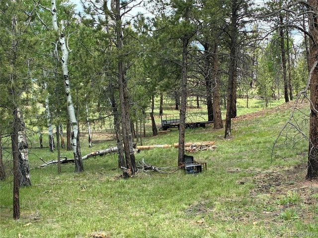 266 Chapparal Trl, Florissant, CO 80816