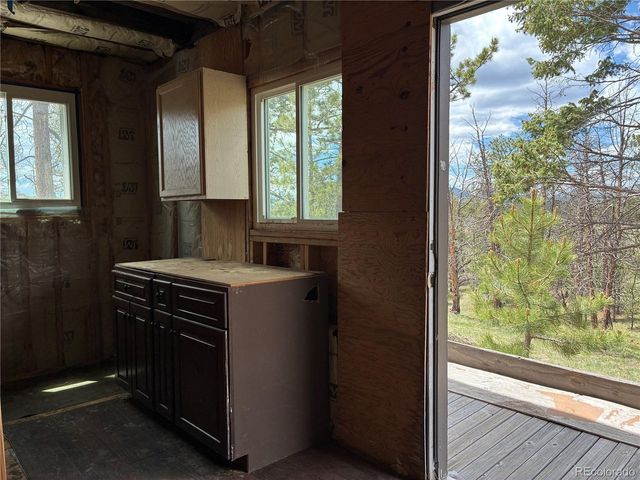 266 Chapparal Trl, Florissant, CO 80816