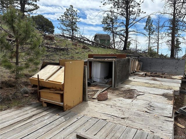 266 Chapparal Trl, Florissant, CO 80816