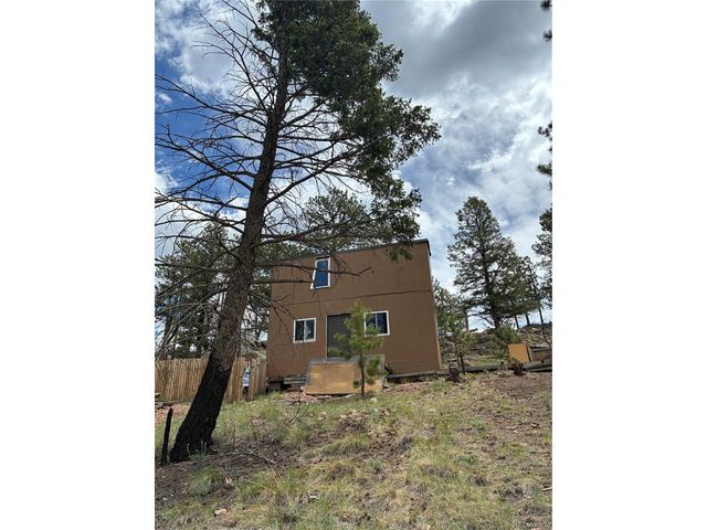 266 Chapparal Trl, Florissant, CO 80816