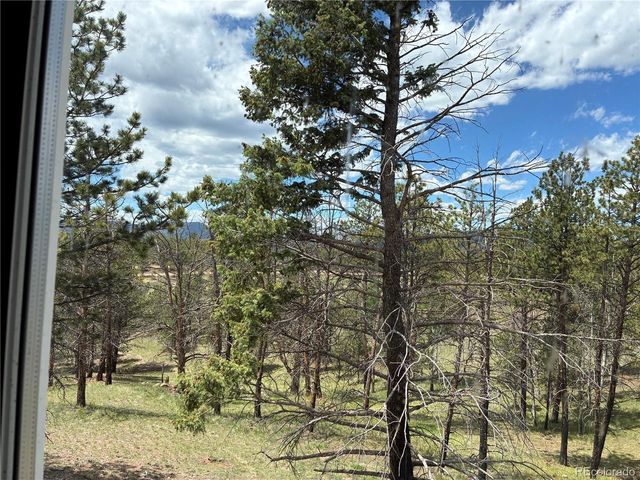 266 Chapparal Trl, Florissant, CO 80816