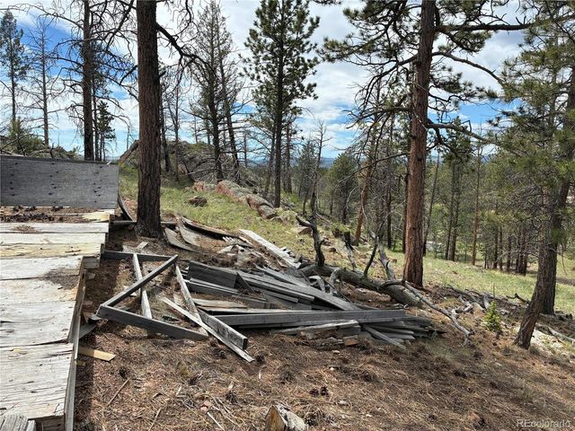 266 Chapparal Trl, Florissant, CO 80816