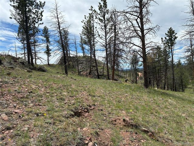 266 Chapparal Trl, Florissant, CO 80816