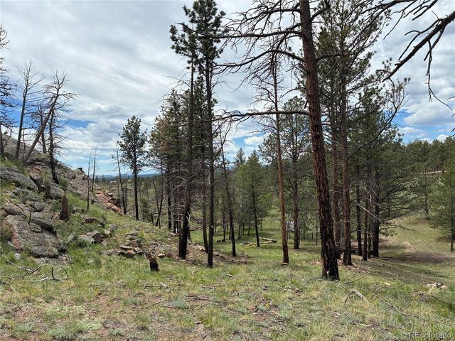 266 Chapparal Trl, Florissant, CO 80816
