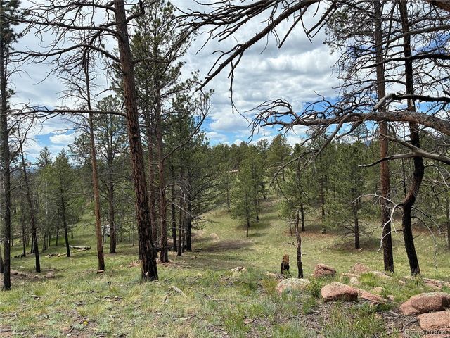 266 Chapparal Trl, Florissant, CO 80816