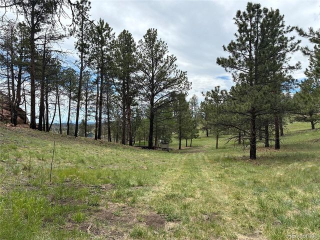 266 Chapparal Trl, Florissant, CO 80816