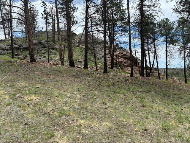 266 Chapparal Trl, Florissant, CO 80816