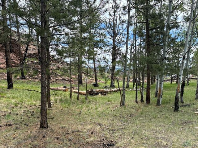 266 Chapparal Trl, Florissant, CO 80816