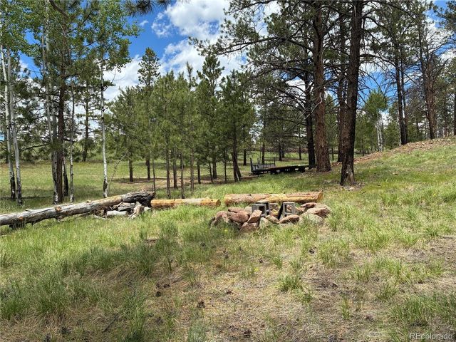266 Chapparal Trl, Florissant, CO 80816